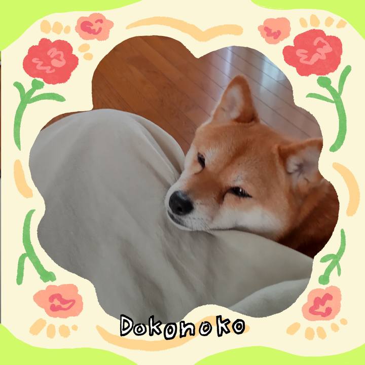 070b385d e8eb 48cd 9061 63e089e5c6c5 1714979476481