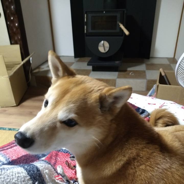 070b66b3 080f 4eb5 8d7a aa73f9a05455 1581073635151