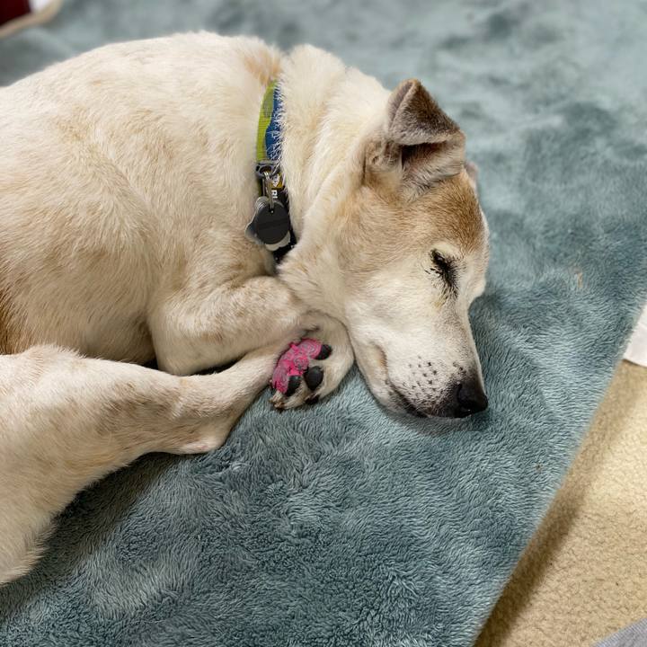 070bca8f 0146 489d b3ae 111ce6d4829b 1712668104447