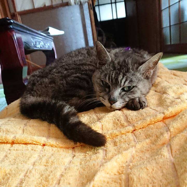 070be14d 65cd 4cf6 8cd8 eb6d9052c433 1595121134498