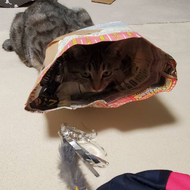 070c0108 66c3 48b1 96f4 0a0d29e881d9 1702010738808