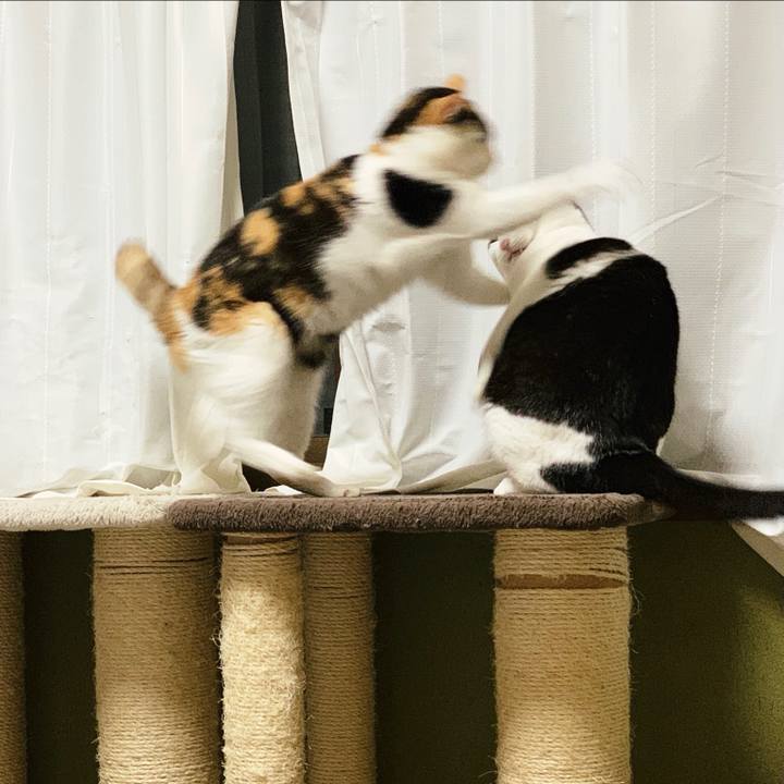 070c0214 7771 49d9 b7a4 dd87e54e431c 1555641221821