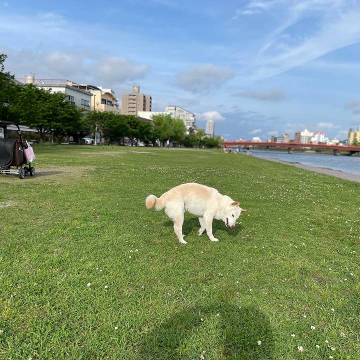 070c0d2d b202 40dc aac4 293134b19a31 1650888250699