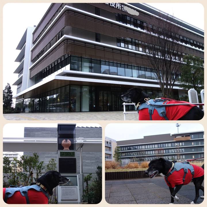 070c1713 78a8 410f ba4e f21de365580e 1736210023677