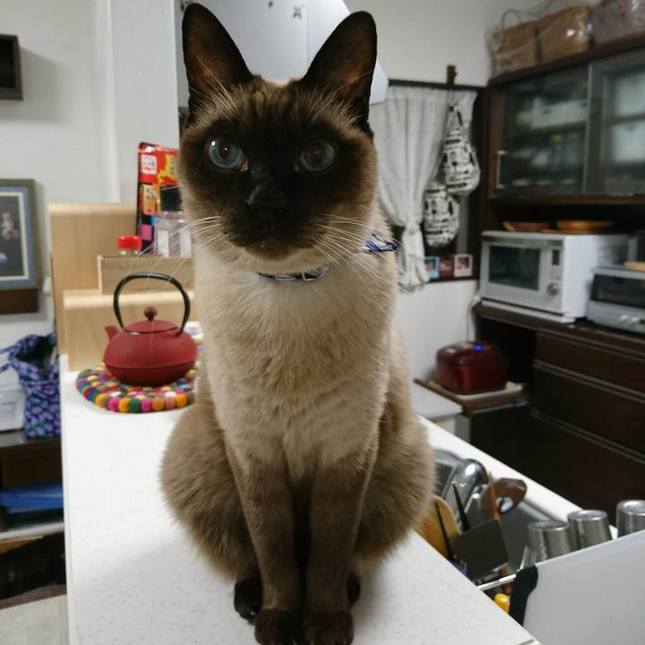 070c7f57 b04c 4eee 8b28 75b88af021b7 1512945390314