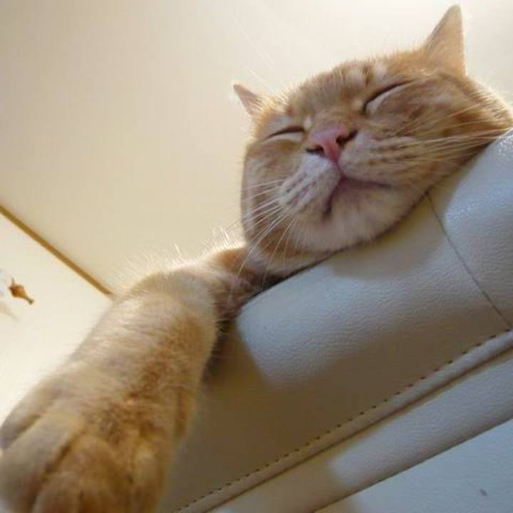 070cc811 030a 453e 834e e556ecd3c18a 1719220642885