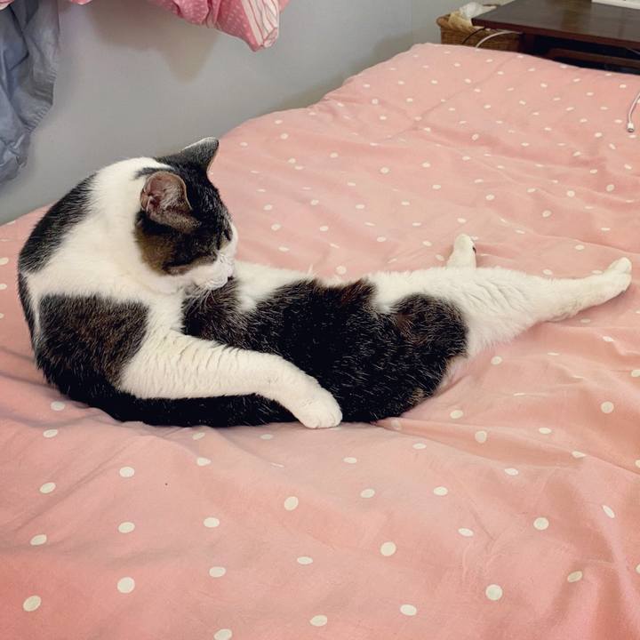 070d18b7 c404 41aa ba1f 320e2ad4f037 1589453727122