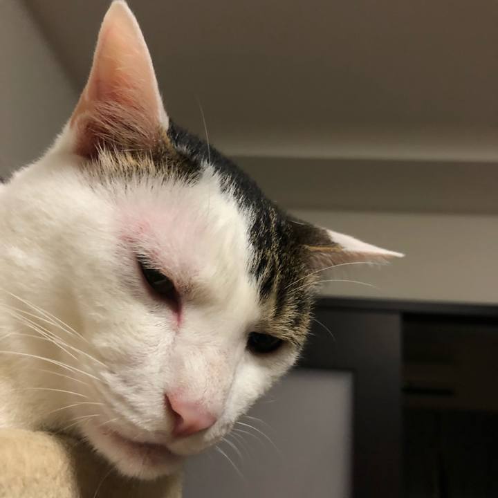 070d1e85 1009 4075 b595 b0e5c7644b17 1627045748609