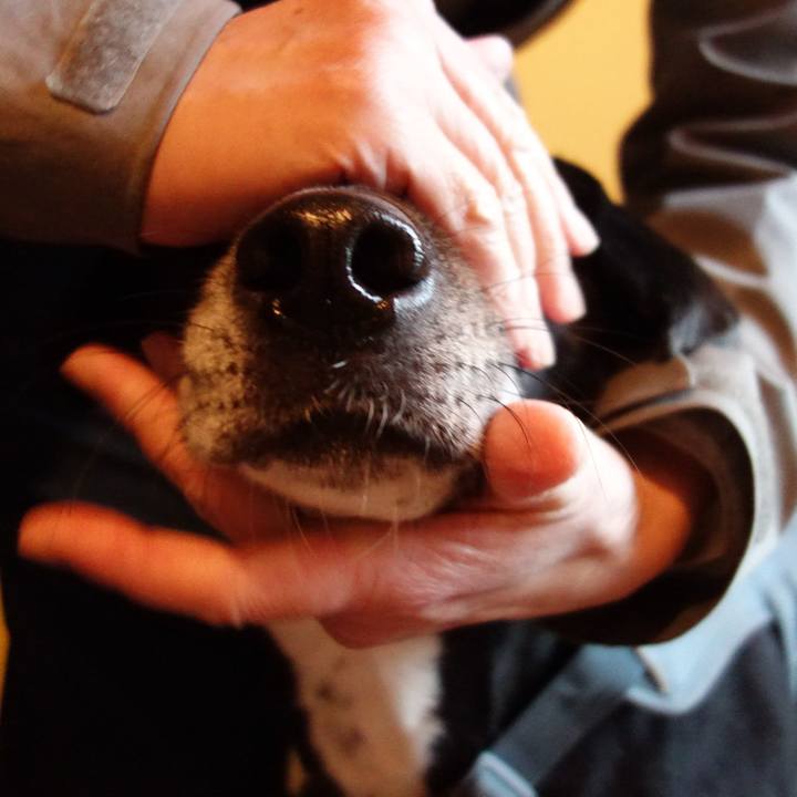 070d6b37 bc24 4e9f aac1 387dd2273b7b 1732926050558