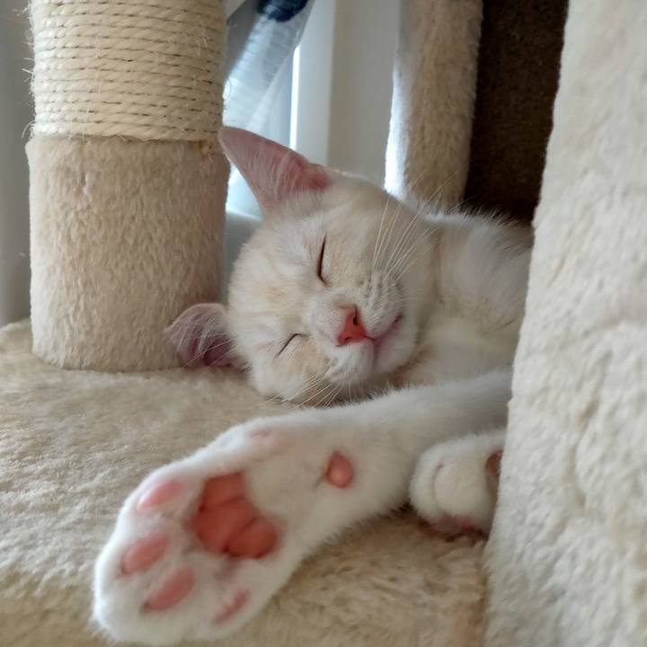 070d7089 44ac 448e 80bd 02e7fb95ea23 1626868354178