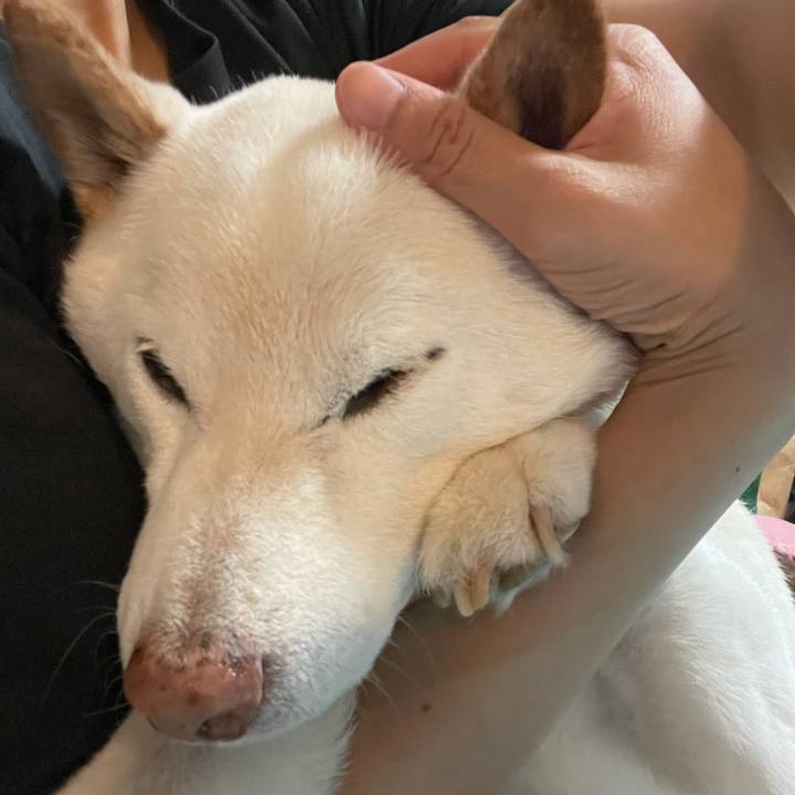 070d770d b53d 40e1 bb26 51c7bb285528 1636086816086