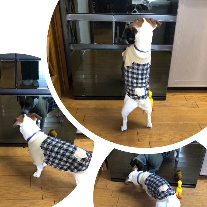 070d9df2 64fa 4900 8f32 aaacfdc91700 1546844603268