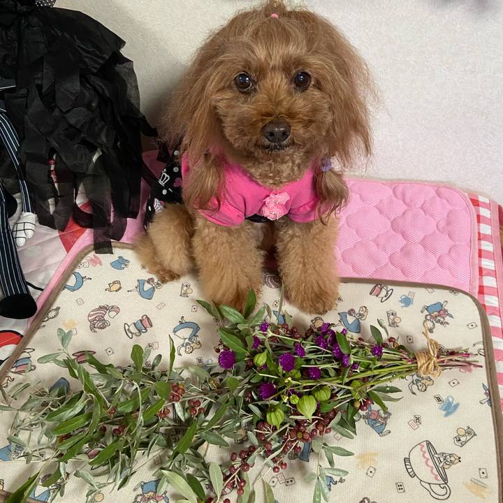 070da3b4 6f9d 493c a68f 6454c060446d 1761982739891