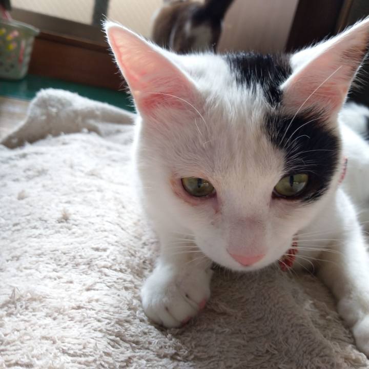 070db45e eaed 477d 9822 06087334230c 1517723845857