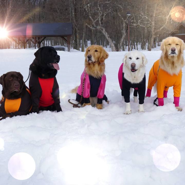 070dc057 42cb 4f9d a189 3d0867b6be1a 1551659310426