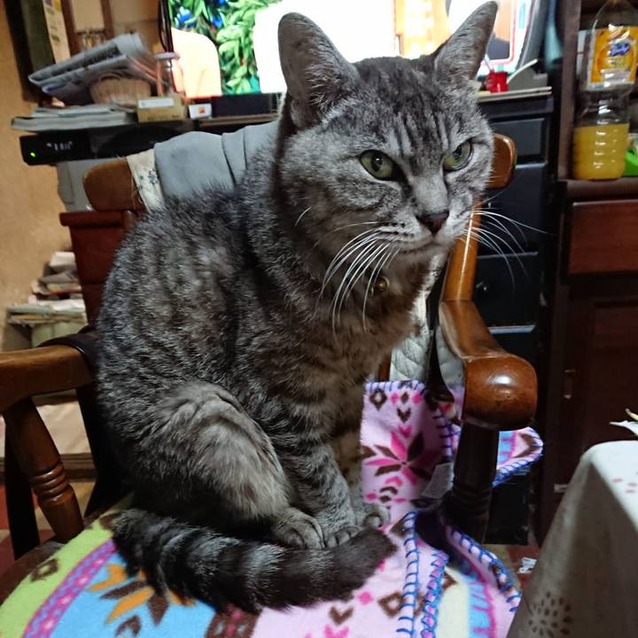 070dc2f9 9e06 4852 b819 e9725a7f87e5 1569496375941