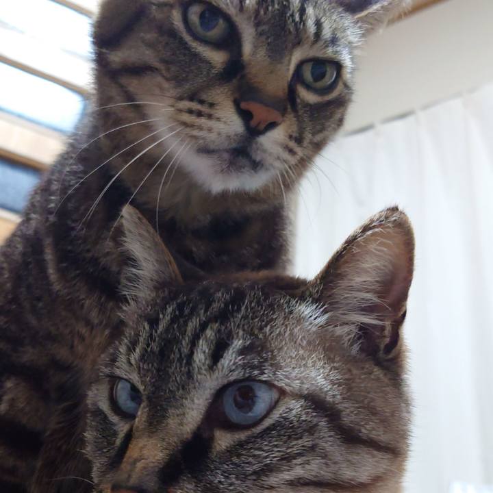 070deadc 1b7b 4498 b0c3 9ecb2ef3b63b 1747918760320