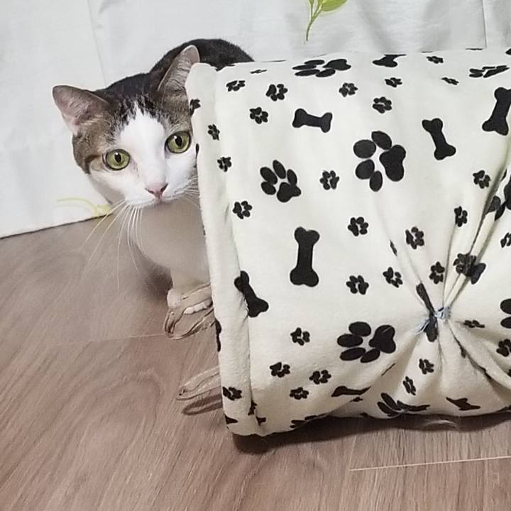 070e2aa8 1cb7 4205 ad91 2091639fff4b 1553605170073