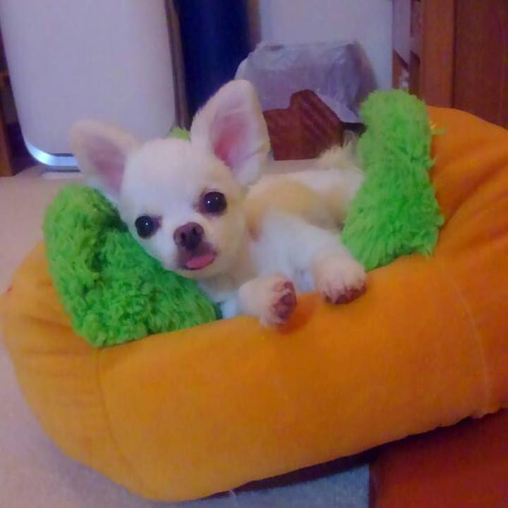 070e4012 77d9 4ee8 8d44 918c3c5377ad 1566302769214