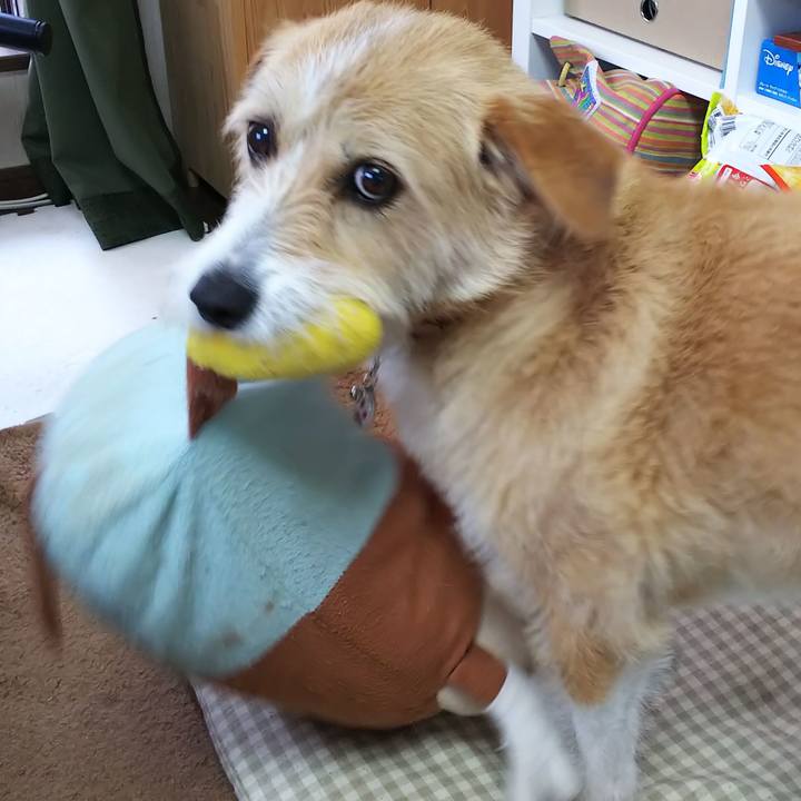 070e46dd c99b 4239 9adc c0181fdf5e55 1556960056651