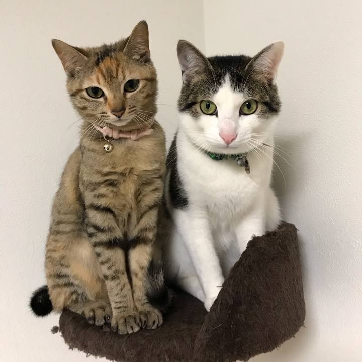 070e774e aec7 40f4 902b a700eab47148 1551576664103