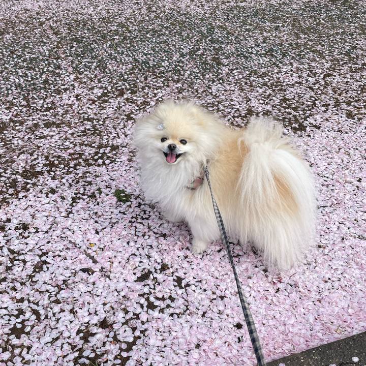 070e91f4 f609 47a1 84b1 6ad4b6771804 1649113929332