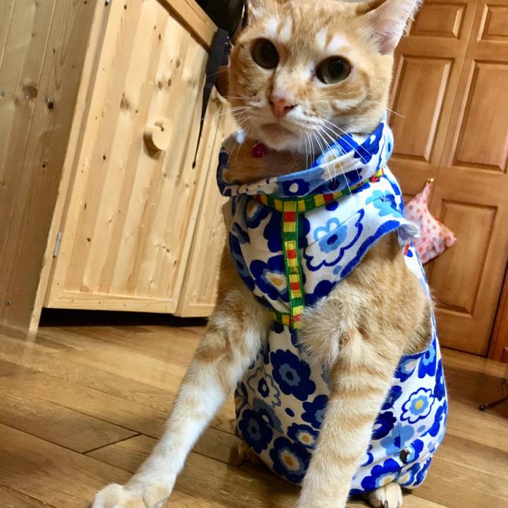 070e938c ffdc 41b2 9053 6f585f1a76e2 1521372142633