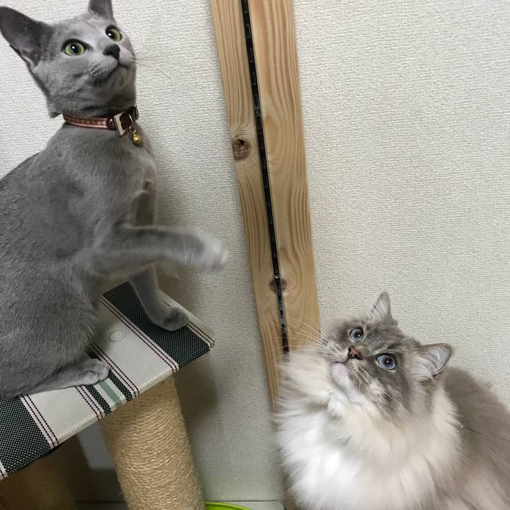 070eab8d 6f5f 48ed 9d53 a0e2edcd7d33 1521671304963