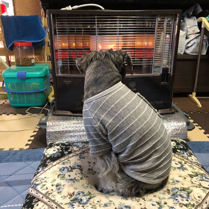 070ebe14 6347 4139 897c 86a81c09dfaf 1667694150859