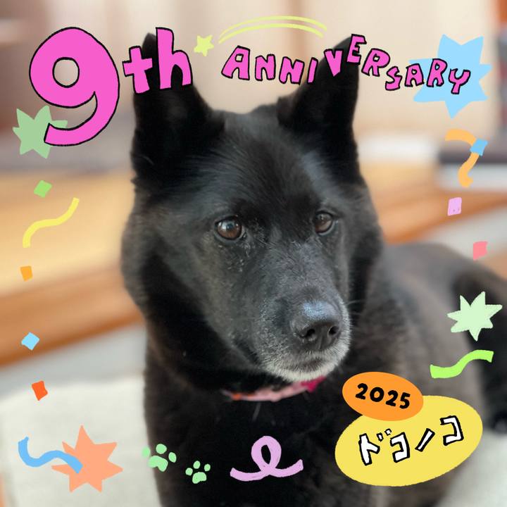 070ed4d1 ebbf 4aec b562 5ffe236e48c9 1749135751865