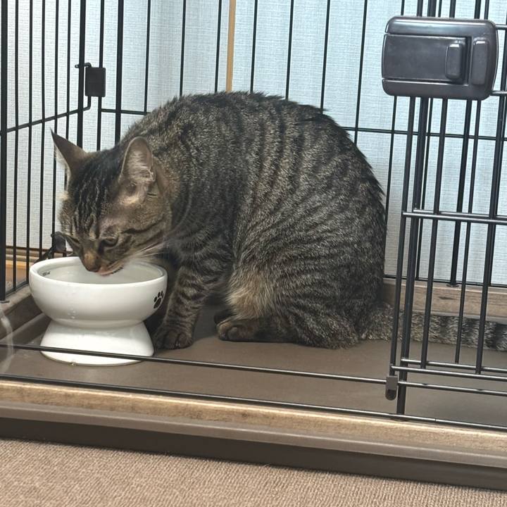 070edee7 f7af 40d2 9307 c2110e9e0a66 1758679429931