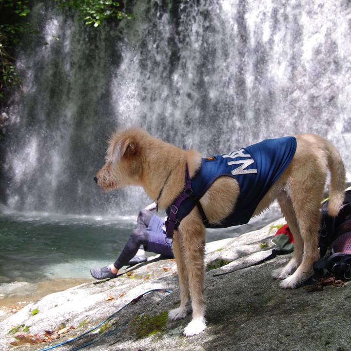 070eea5a db3f 4224 9a66 e2c44c68b531 1597215721345