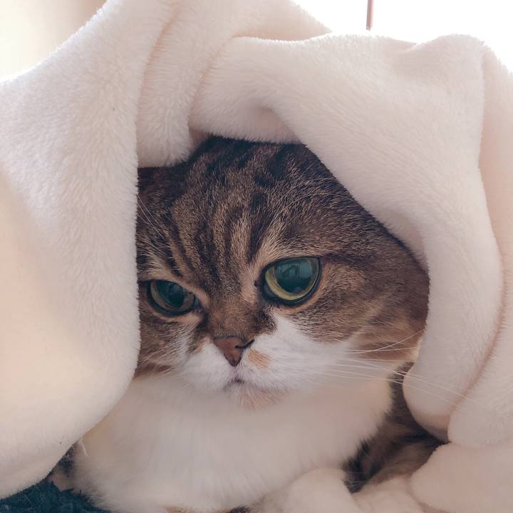 070f1881 c88d 4b09 8132 4827eaef7e78 1553143983752