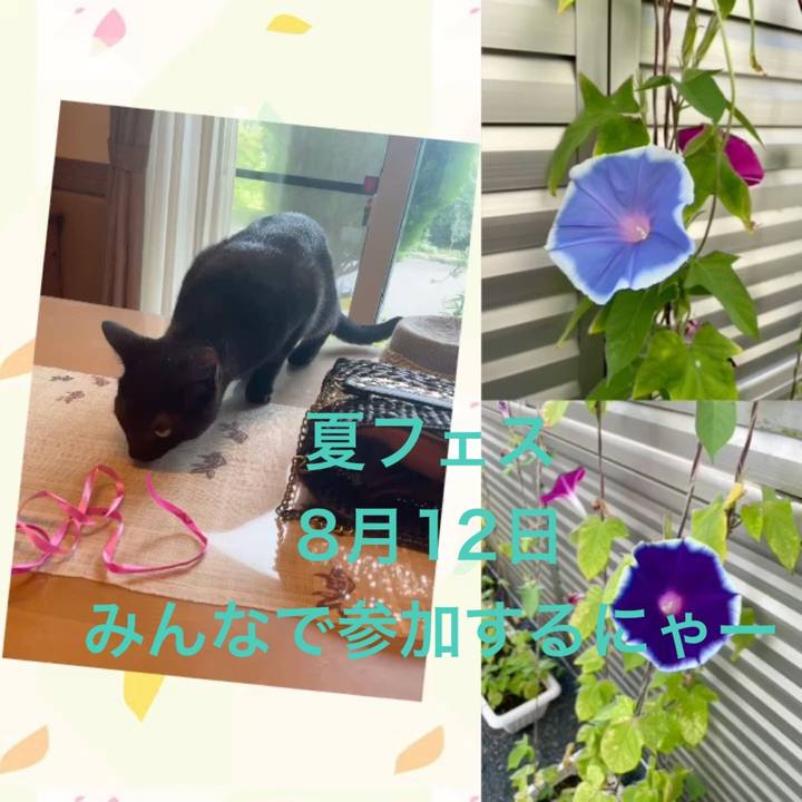 070f2c4f 33c2 4ad6 8568 e4e6b3a406ba 1691405040955