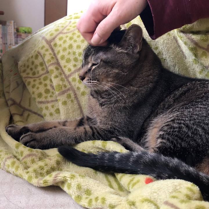 070f4a10 0238 4d0f 95c9 f926cb6787b0 1682151137339