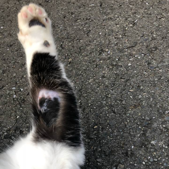 070f4b2b b498 460f 9bbf b9c3839997a6 1537141608938