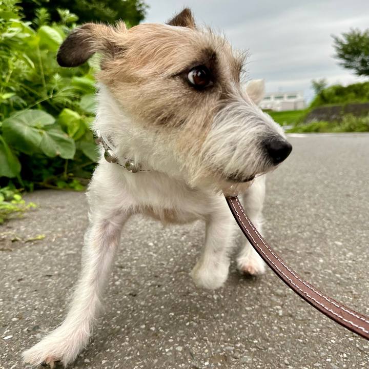 070fa159 763c 4584 8024 f100a1c4c5b4 1721042769552