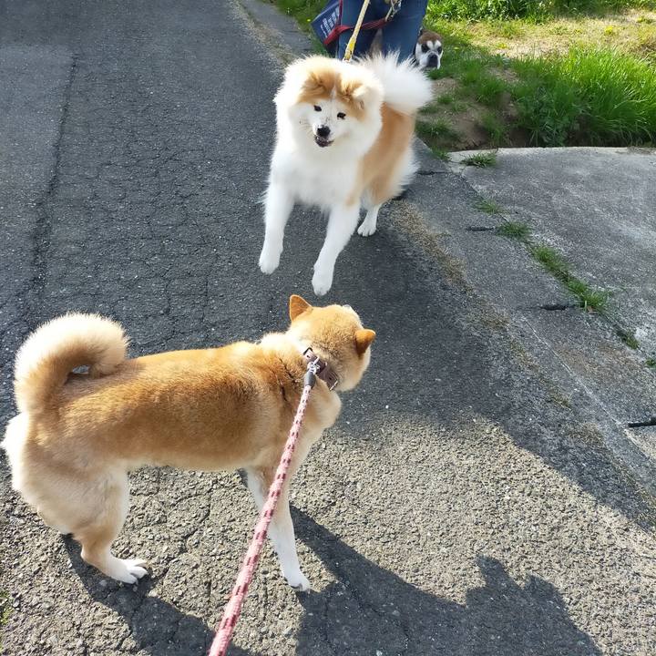 070faf75 9993 4689 af86 3de5ac7e8c5c 1649075192622