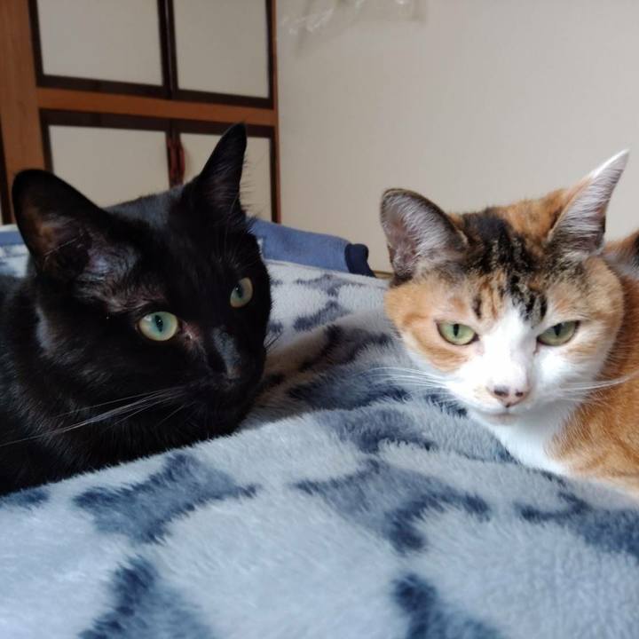 070fe111 4c44 4a28 960a fba57e70761a 1598844899892