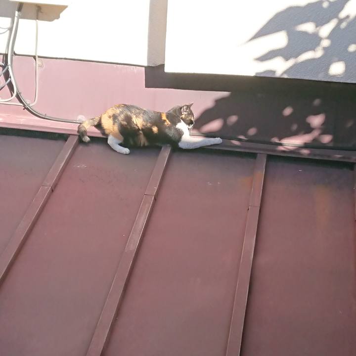 070ff104 a71d 4345 b6ae 53d35f9b380c 1542934895473