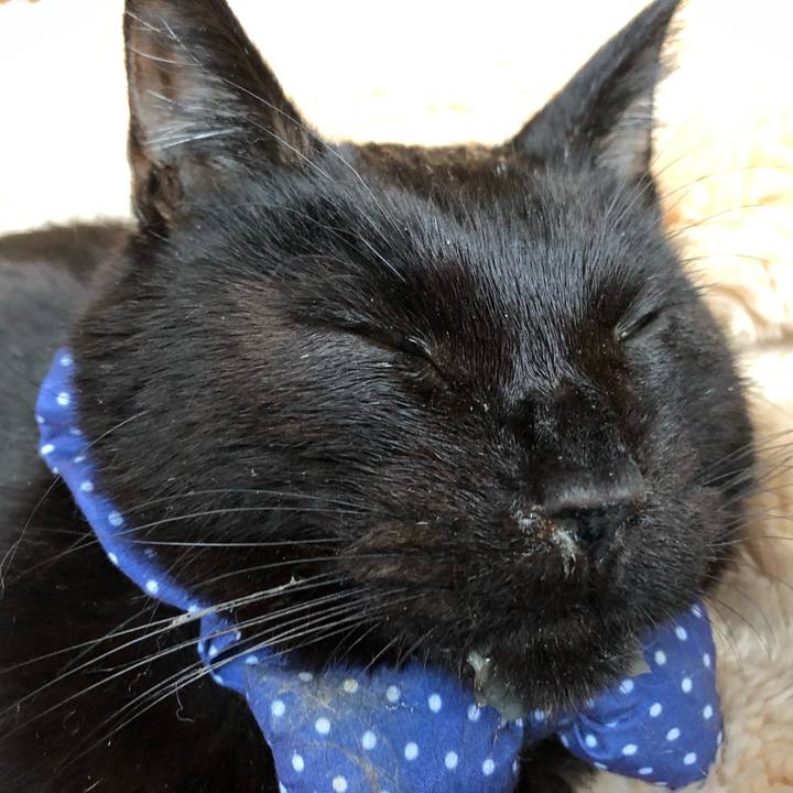 071037d1 b3b4 4074 a35d f21c791a08b6 1555187838613