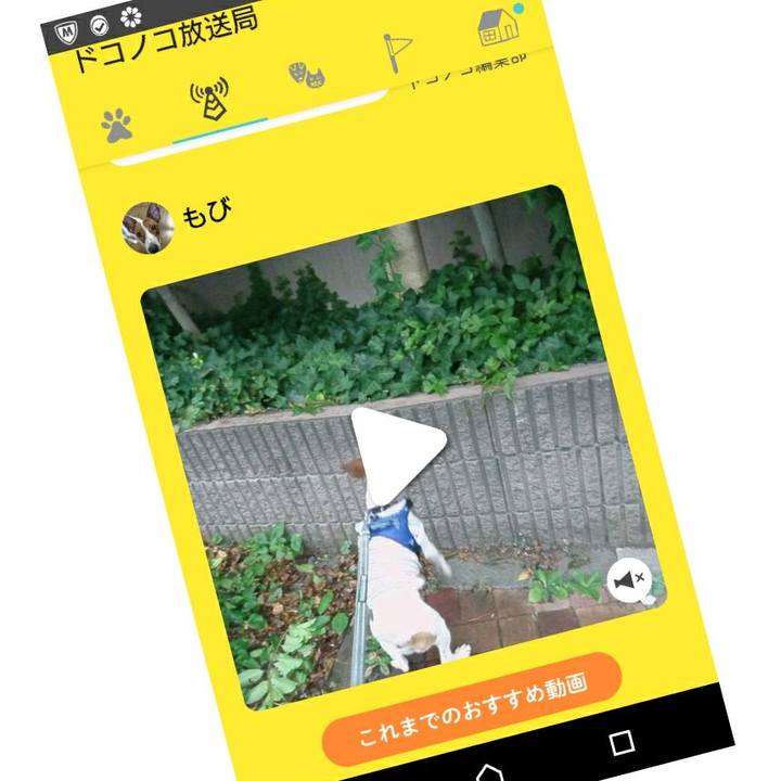 07105ff8 f175 466b 8558 1fc7dd30868a 1533611740411