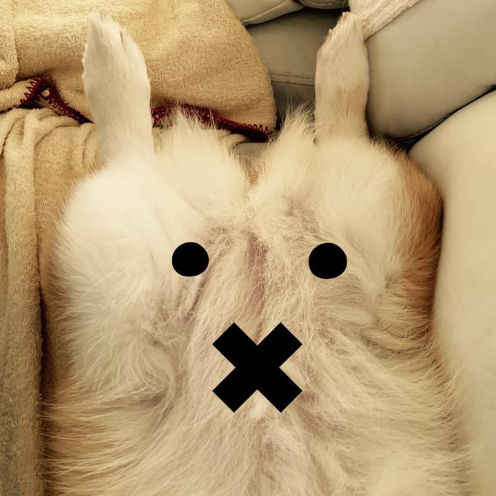 07106fcd 66fd 44e1 a011 4b2890d56e1f 1597900507190