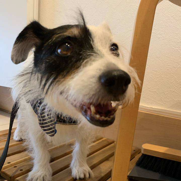 071081c9 819e 4e58 8126 470e80ea4b5f 1726009394940