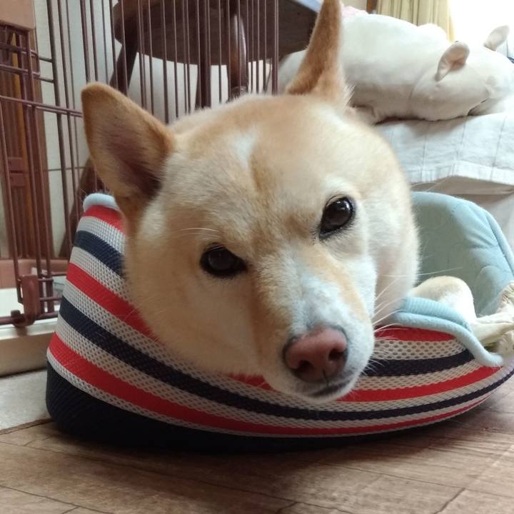 071081d9 3531 4b45 a749 0a39cdda85c7 1566358853875