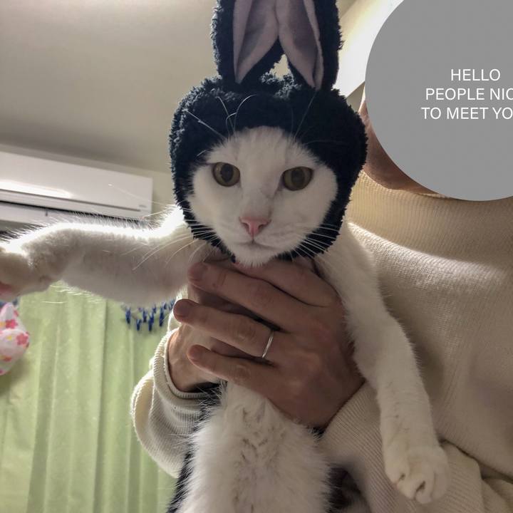 0710d946 6439 42b8 bd0d 4fed0fdca5eb 1549949351311