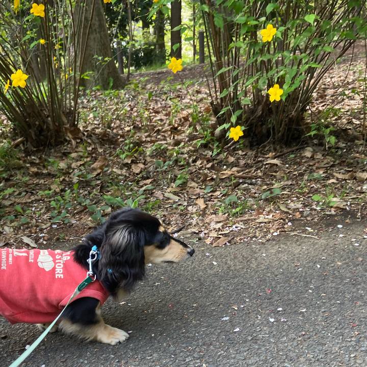 0710f9f7 3750 4848 9343 39cd569b05c5 1680650954523