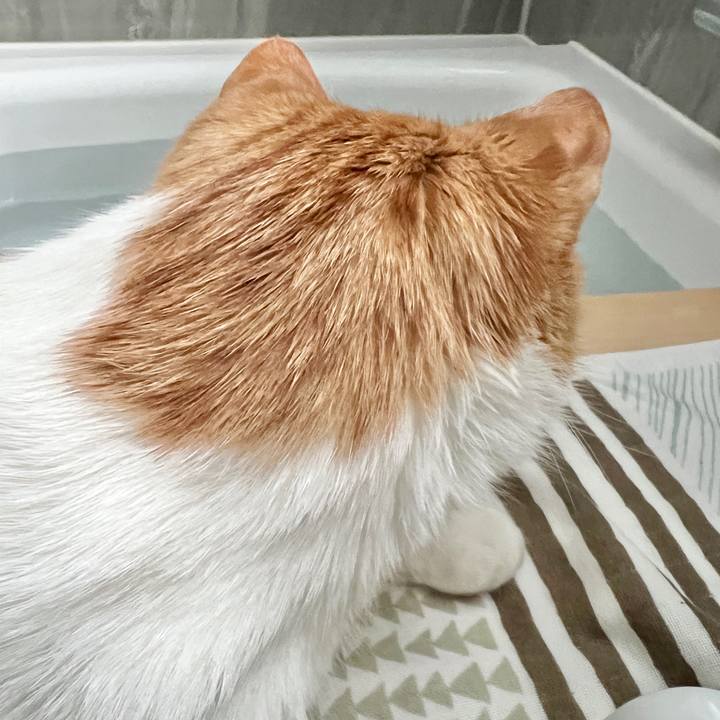 07112aa0 5b48 420b 9a74 b1dcafeb80c7 1768009693858