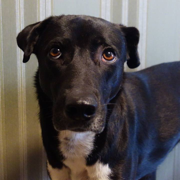 07112d26 933b 4bca 88b0 7a7f9a67358c 1582167047551