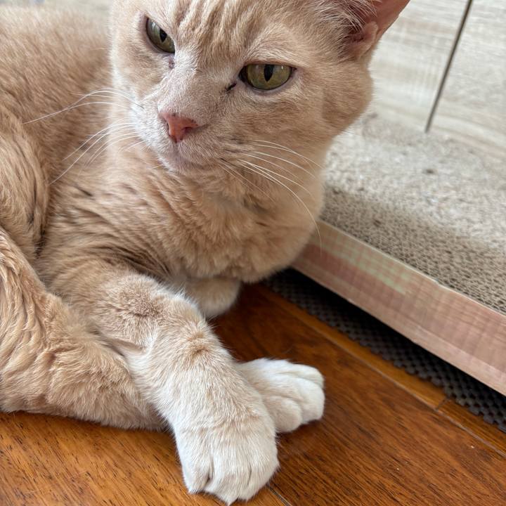 07113bd2 5e87 4136 a1fc a20900a1baaf 1734164663503